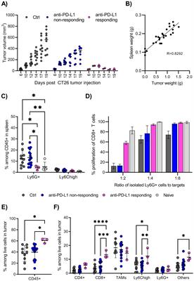 Blocking S100A9-signaling is detrimental to the initiation of anti-tumor immunity